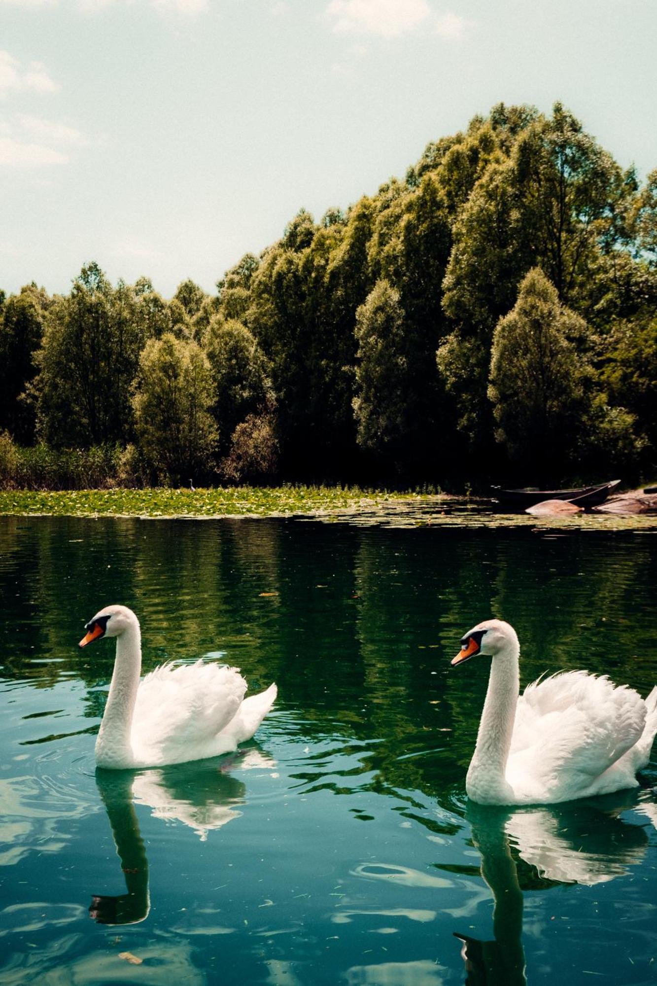 Skadar Lake Family Resort Rijeka Crnojevića Esterno foto