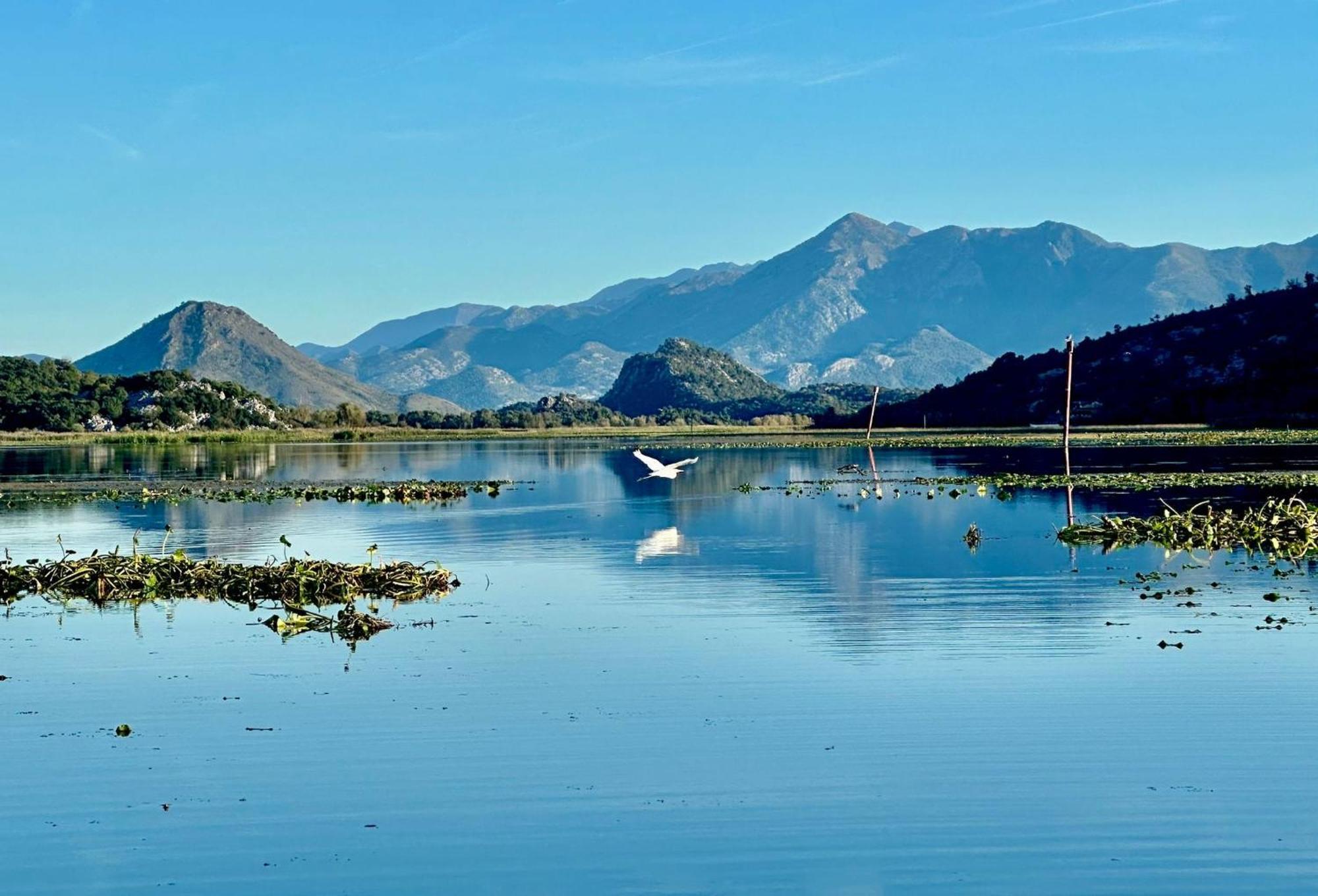 Skadar Lake Family Resort Rijeka Crnojevića Esterno foto